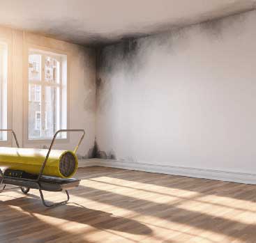 FIRE-AND-SMOKE-DAMAGE