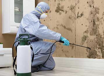 MOLD-REMEDIATION-AND-RESTORATION-Toronto