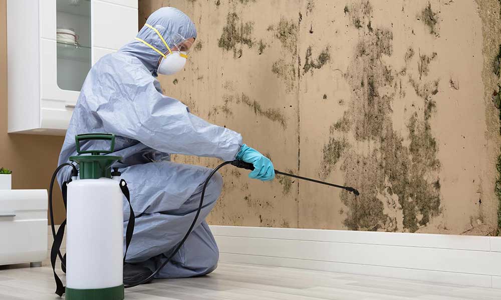 MOLD-REMEDIATION-AND-RESTORATION