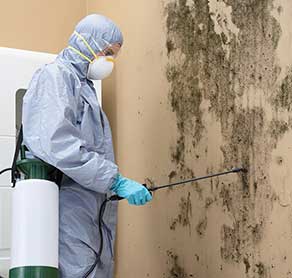 Mold-Damage-Restoration-Toronto
