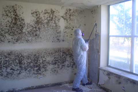 Mold-Remediation-and-Restoration-By-Imperial-Restoration--Restoration-Toronto